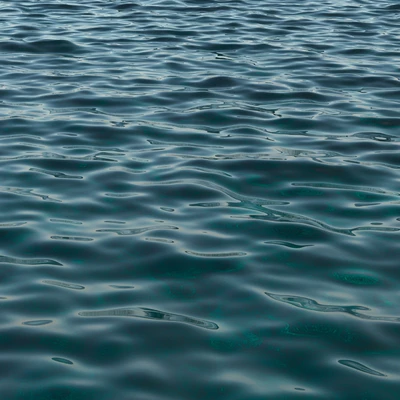 Ocean 3 — Вид 6