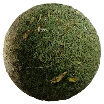 uncut grass 025 — Descargar