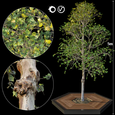 Tree — Ver 1