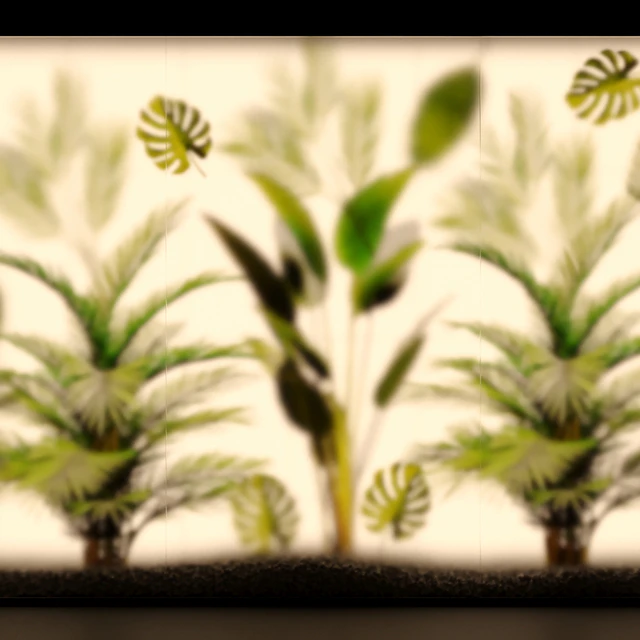 Phyto Display Case — Descargar