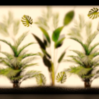 Phyto Display Case — Ver 6
