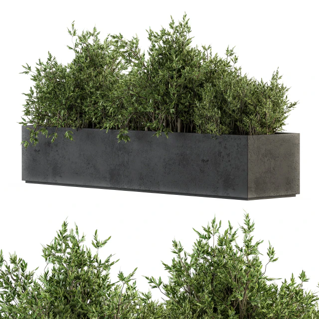 Outdoor Plants tree in Concrete Box - Set 126 — Descargar