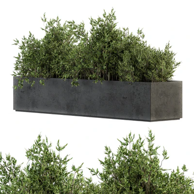 Outdoor Plants tree in Concrete Box - Set 126 — Ver 2