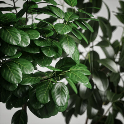 plants set 10 — Ver 3