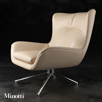 Minotti Jensen — Вид 1