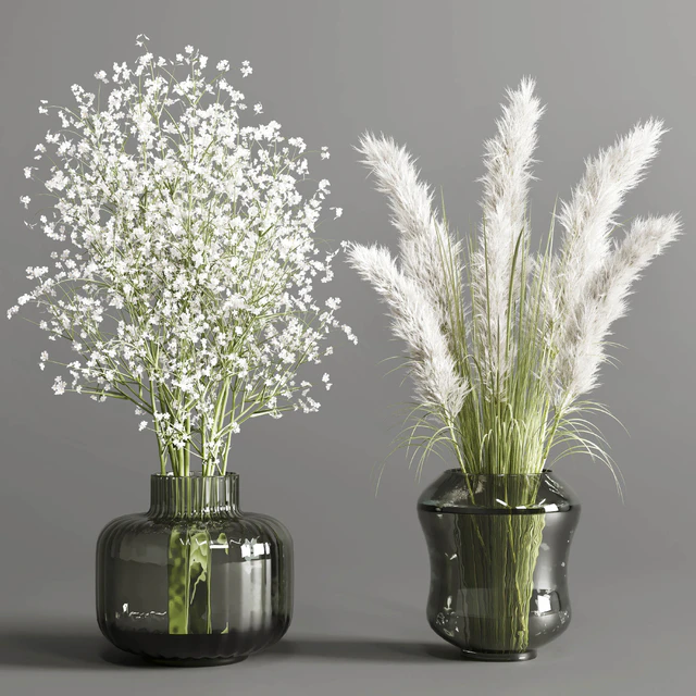 collection Plants Bouquet Indoor glass vase — Скачать