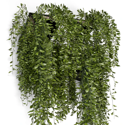 Indoor Hanging Plants in Concrete Pot - Set 130 — Ver 2