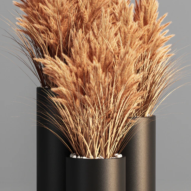 Indoor Plant Set 48 (pampas) — Descargar