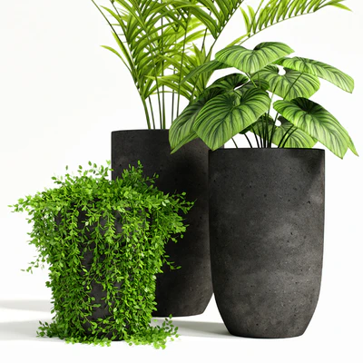 plants set 03 — Вид 5