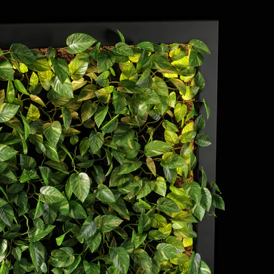 vertical garden 10 — Ver 5