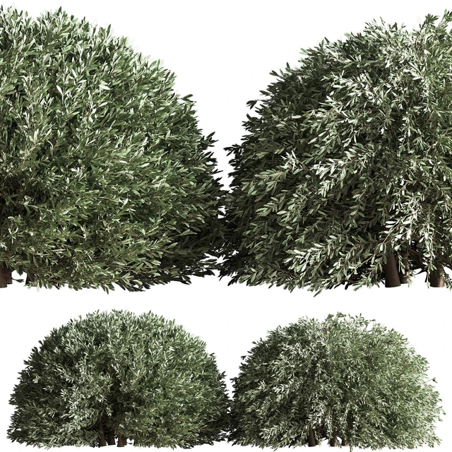 Bush02 — Descargar