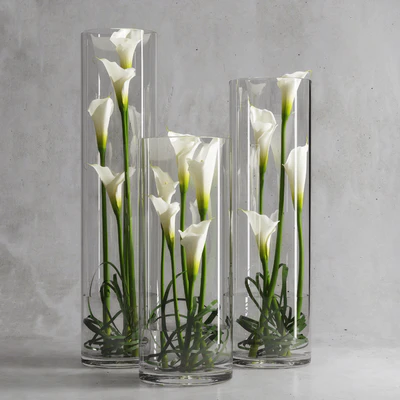 Calla Lily 6 — Ver 1