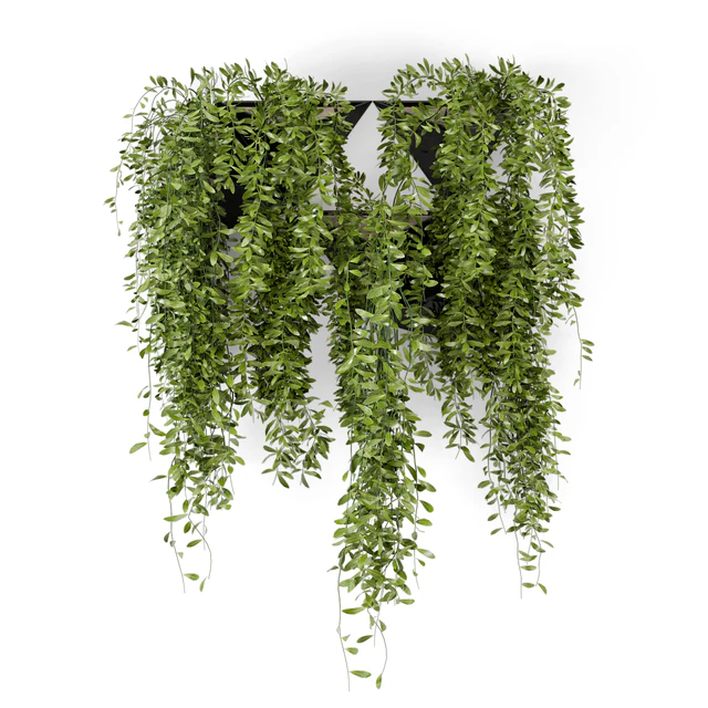 Indoor Hanging Plants in Concrete Pot - Set 130 — Descargar