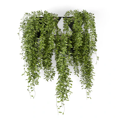 Indoor Hanging Plants in Concrete Pot - Set 130 — Ver 3