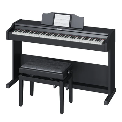 Roland RP 102 — Ver 1