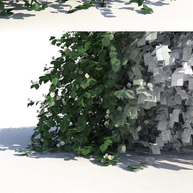 Chubushnik (jasmine) with lying on the ground branches and leaves — Descargar