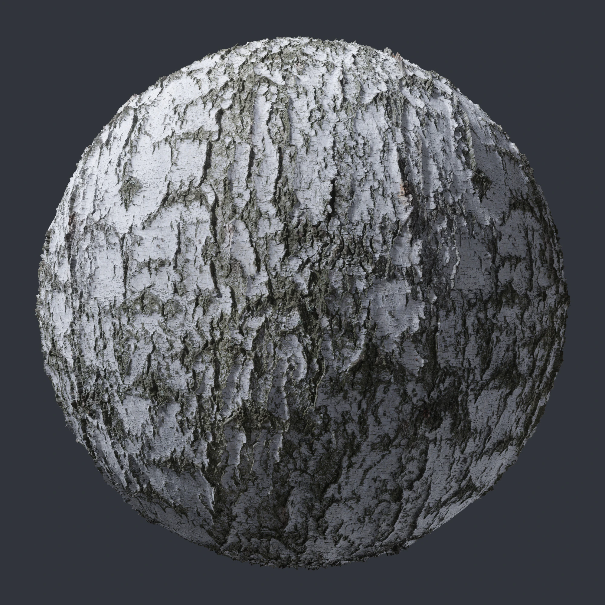 birch bark 005 — Скачать