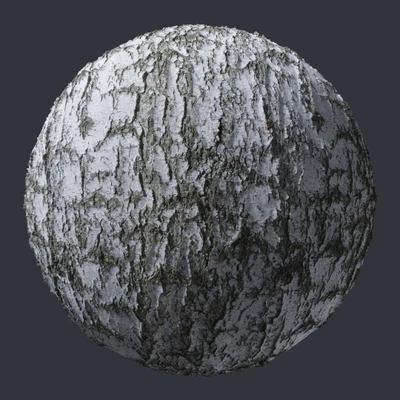 birch bark 005 — Скачать