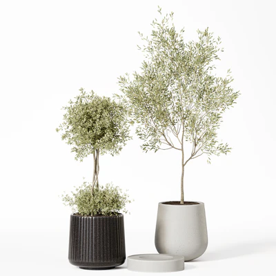 Indoor Plant Set 019 — Ver 4