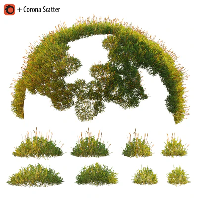 Forest Moss 2 — Ver 1