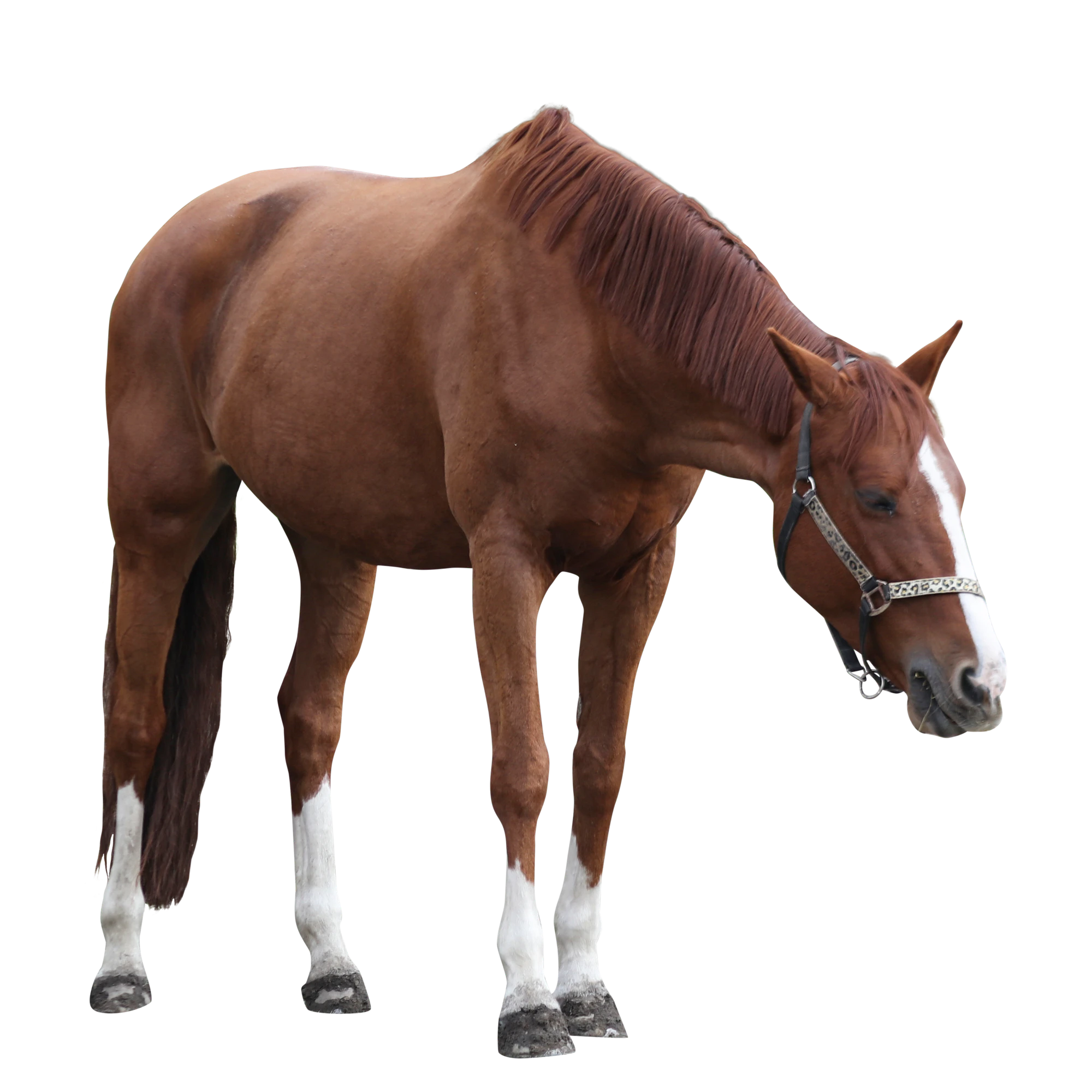 025 — Скачать