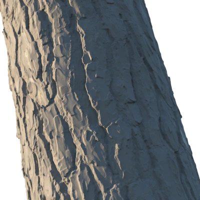 4k Pine Bark Material 03 — Ver 6