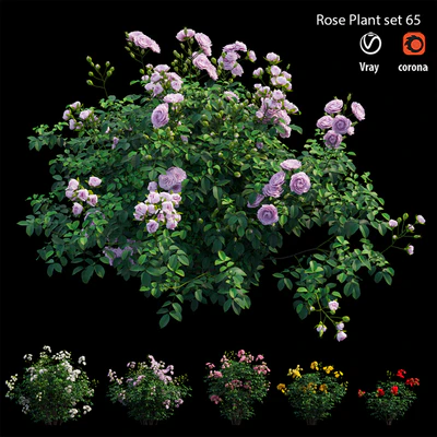 Rose plant set 65 — Ver 1