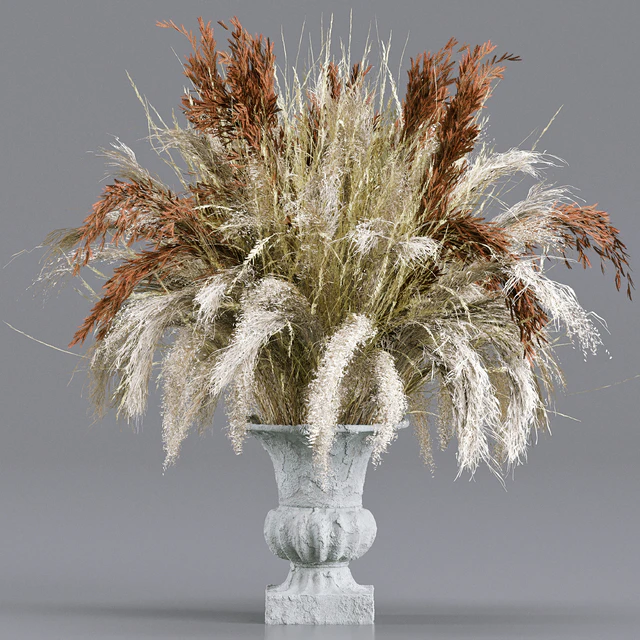 Bouquet Collection 13 - Decorative Dried Branches and Pampas — Скачать