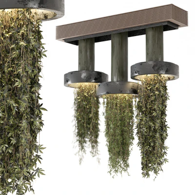 indoor Plants Collection set 12 hanging65 — Ver 1