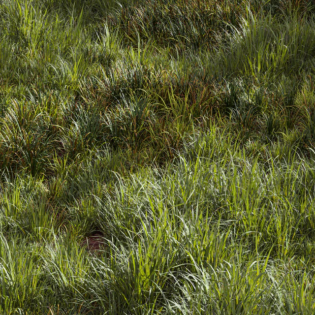 Meadow Lawn Grassland Set 002 — Descargar