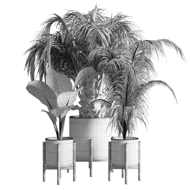 indoor plant 13 — Скачать