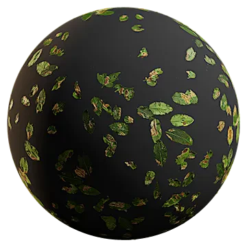 exotic leaf scatter 002 — Descargar