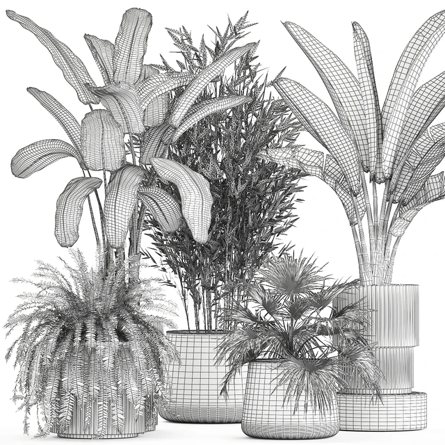 Collection of plants in white flower pots with Banana palm, ravenala, fern, bamboo. set 1352 — Descargar