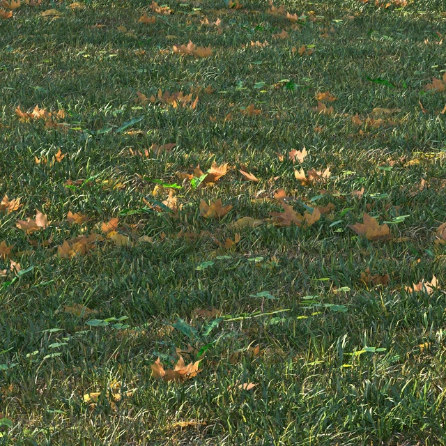 grass set05 with leaves — Descargar