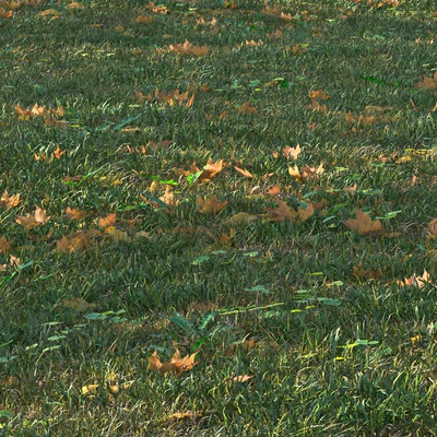 grass set05 with leaves — Ver 7