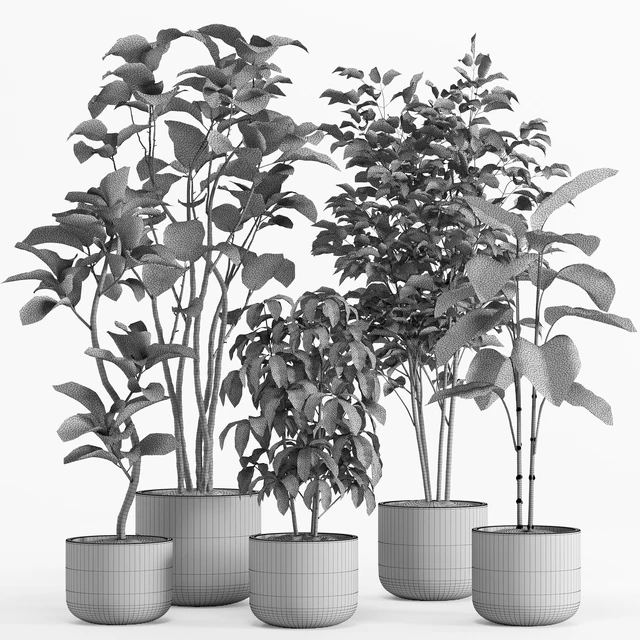 indoor plant set 017 — Скачать