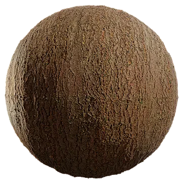 douglas fir bark 001 — Descargar
