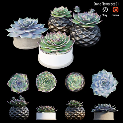 Stone flower set 01 — Вид 5