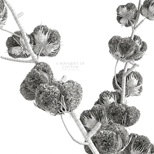 A bouquet of cotton — Descargar