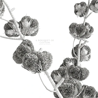 A bouquet of cotton — Ver 4