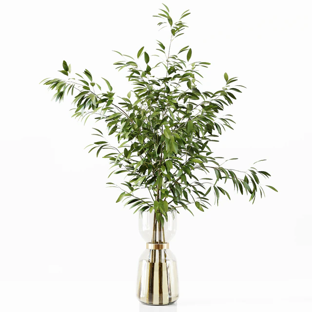 Collection Indoor Plants 034 — Descargar