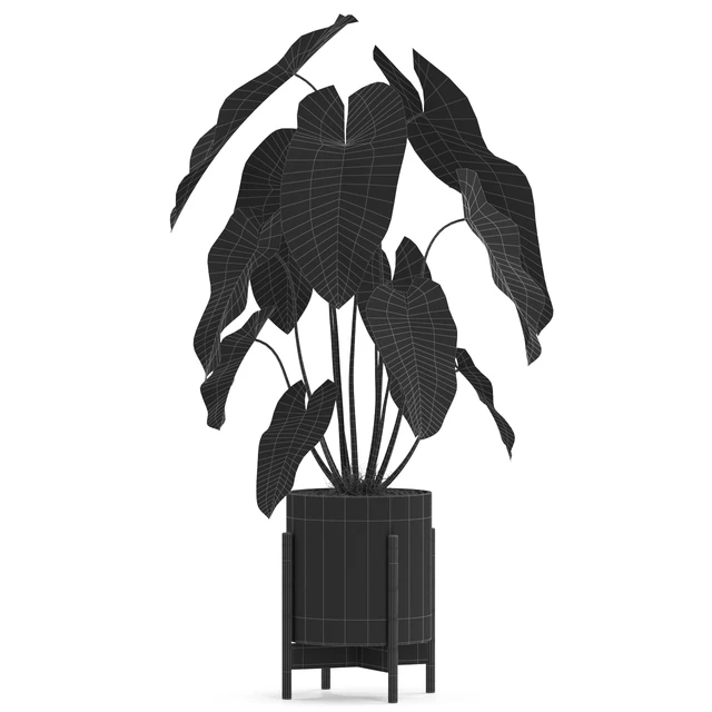 Plants collection 524 — Descargar