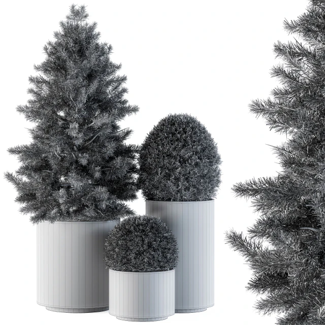 Outdoor Plants tree in Concrete Pot - Set 110 — Descargar