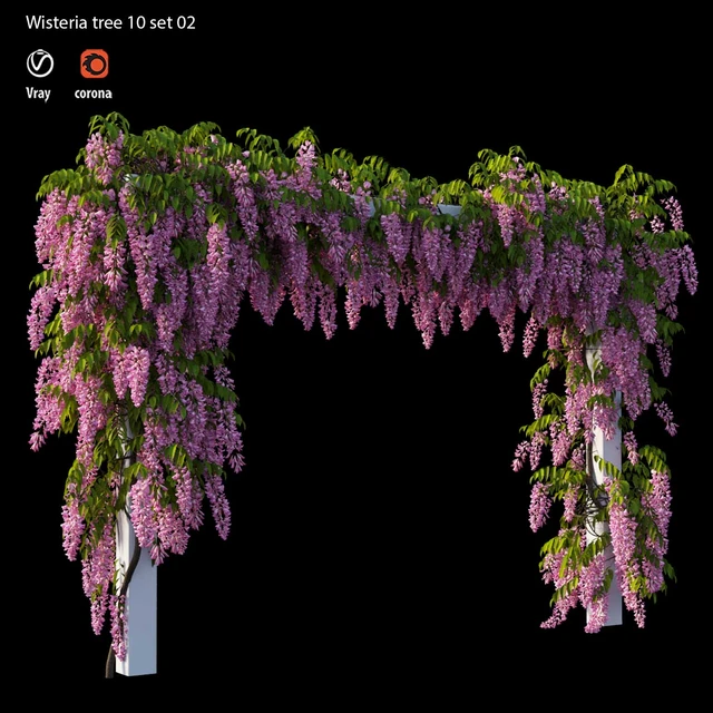 wisterial tree 10 set 02 — Descargar