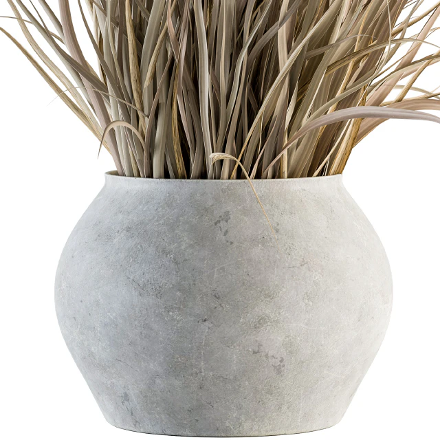indoor Plant Set 115 - Dried Plant — Descargar
