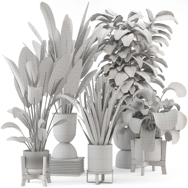 Indoor Plants in Ferm Living Bau Pot Large - Set 583 — Скачать