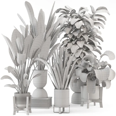 Indoor Plants in Ferm Living Bau Pot Large - Set 583 — Вид 6