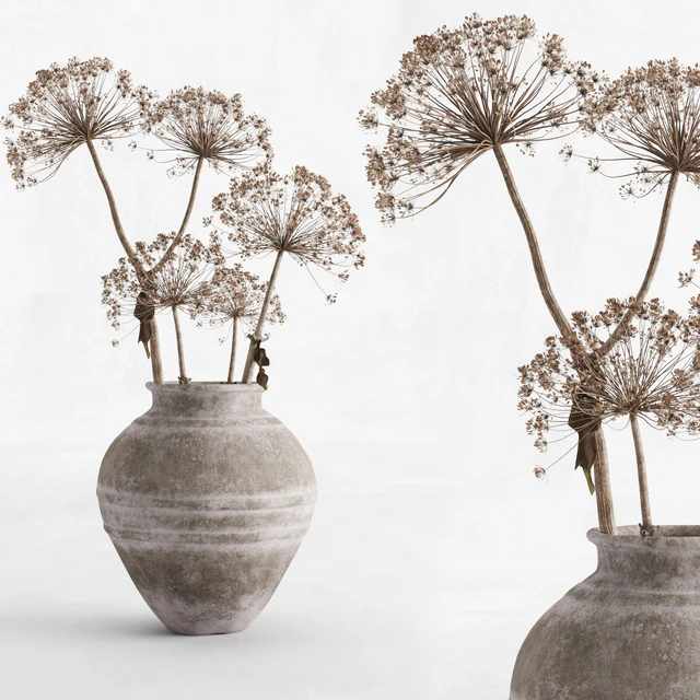 Hogweed in a clay vase — Descargar