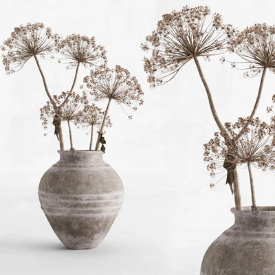 Hogweed in a clay vase — Ver 1