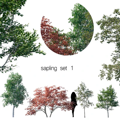 sapling set 1 — Скачать